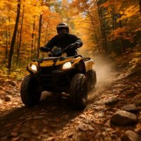 Balade en quad : vivez l'aventure nature