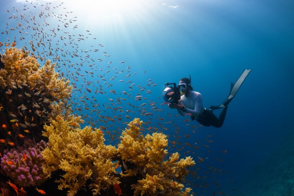 Explorez la nature avec nos idées découvertes