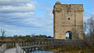 Balade à Aigues-Mortes : remparts et chemin de halage