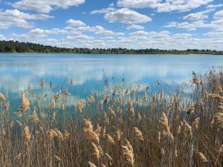 Lac de Maubuisson : le sentier du lac à Carcans