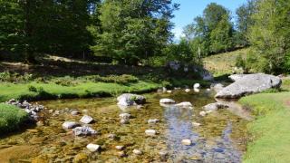 Source de l'Avy à Grabels : la balade au bord de la Mosson