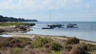 Étang du Ponant : la boucle de la pinède du Boucanet