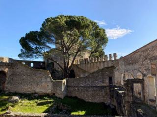 Lucheux : balade autour du château et de la forêt