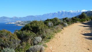 Les cabanes de Mauguio et le sentier du Cabanier