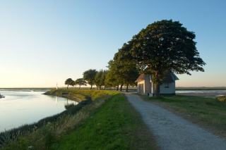 Randonnées Somme : baie, vallée et chemins de mémoire