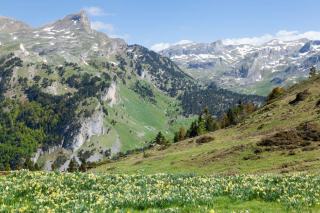 Balade 66 : où marcher dans les Pyrénées-Orientales