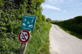 Oise : randonnées en forêt, abbayes et villages